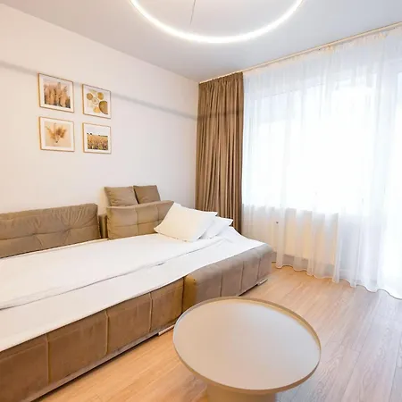 Twin Ii - One Bedroom - Cismigiu Gardens 公寓 *