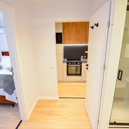 公寓 Twin Ii - One Bedroom - Cismigiu Gardens 布加勒斯特