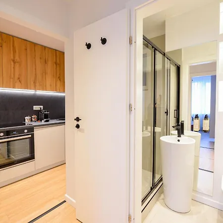 公寓 Twin Ii - One Bedroom - Cismigiu Gardens 布加勒斯特